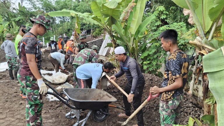Angkong Jadi Ujung Tombak Satgas TMMD 125 Kodim 0825/Banyuwangi Angkut Material di Siliragung
