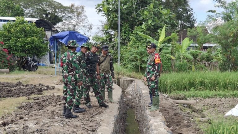 Komandan Kodim 0825 Banyuwangi Tinjau Progres Pembangunan Saluran Irigasi TMMD ke‑125