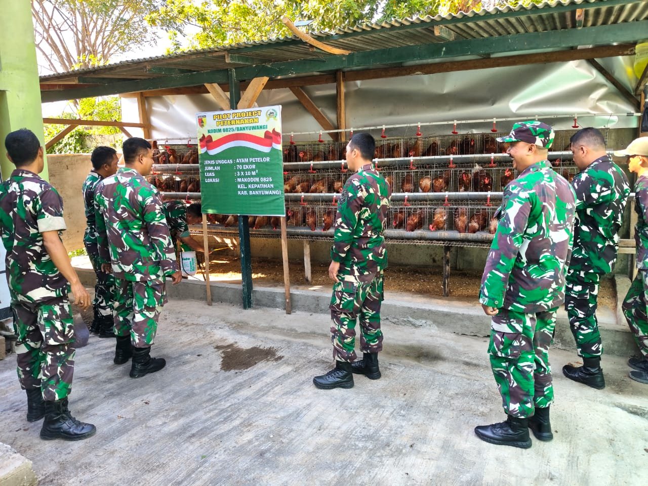 Benteng Pangan Banyuwangi, Kodim 0825 Kokohkan Pertahanan Bangsa di Era Digital