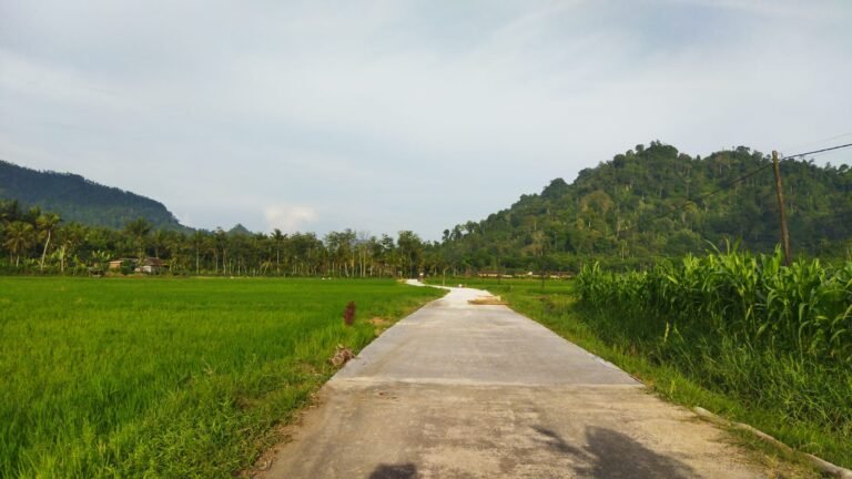 Satgas TMMD ke-126 Rampungkan Pengecoran Jalan Usaha Tani di Dusun Sukomaju