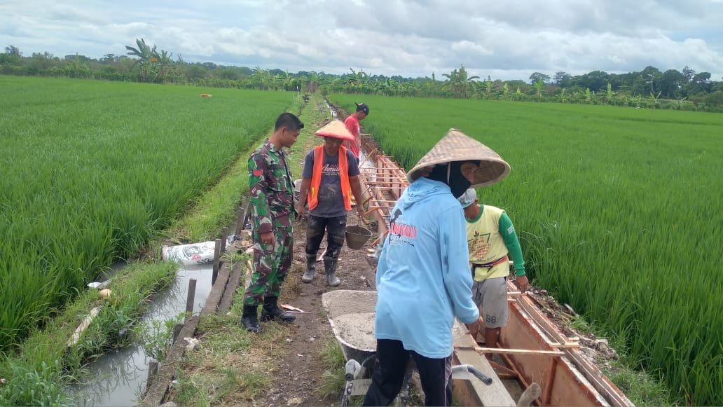 Babinsa Benculuk Koptu Fungky Laksanakan Pengawasan Pekerjaan Rehabilitasi  dan Irigasi di wilayah Kec. Cluring