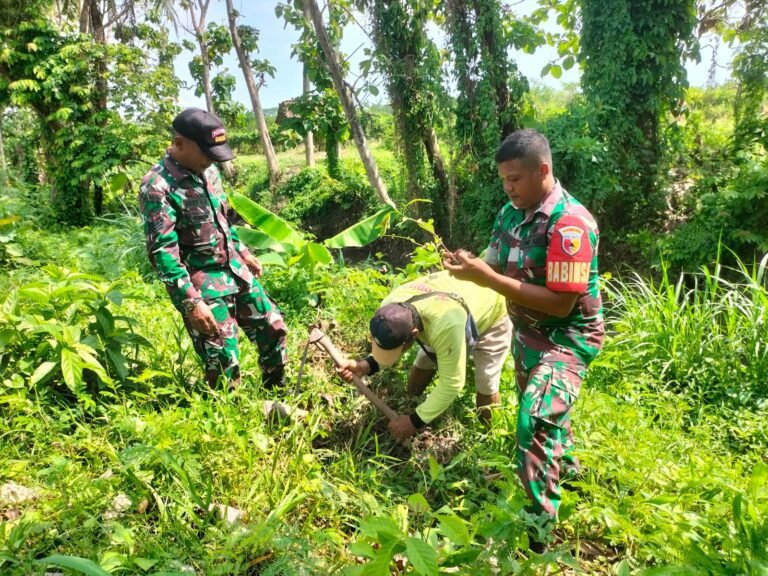 Babinsa Kaliploso Laksanakan Penghijauan Melalui Penanaman Pohon Sukun