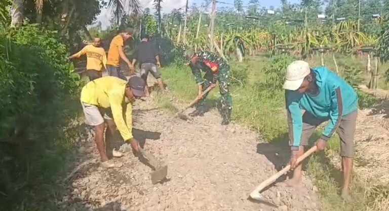 Aksi Nyata Babinsa Siliragung: Benahi Jalan Rusak dan Bantu Petani Panen Buah Naga