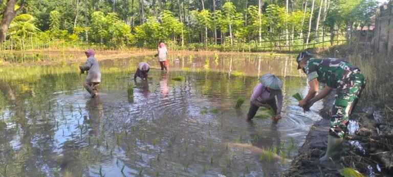 Satgas TMMD Ke-128 Kodim 0820 Melakukan Pendampingan Kepada Kelompok Petani 